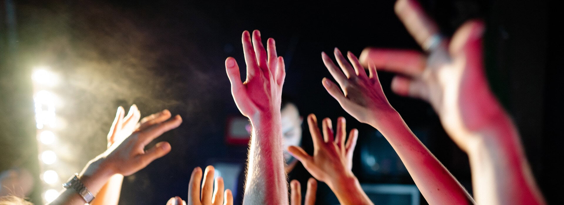 Audience raising hands at RoseShire Festival 2026 concert.